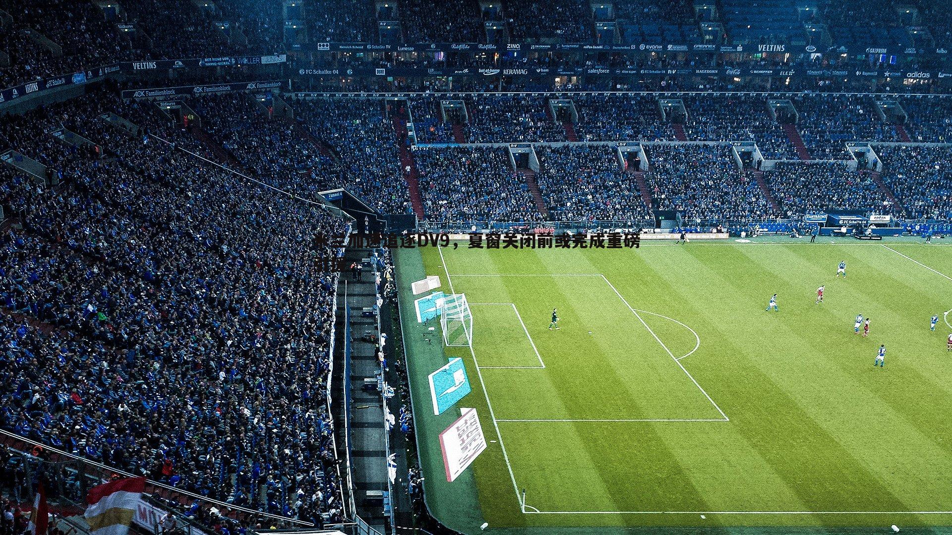 米兰加速追逐DV9,夏窗关闭前或完成重磅引援