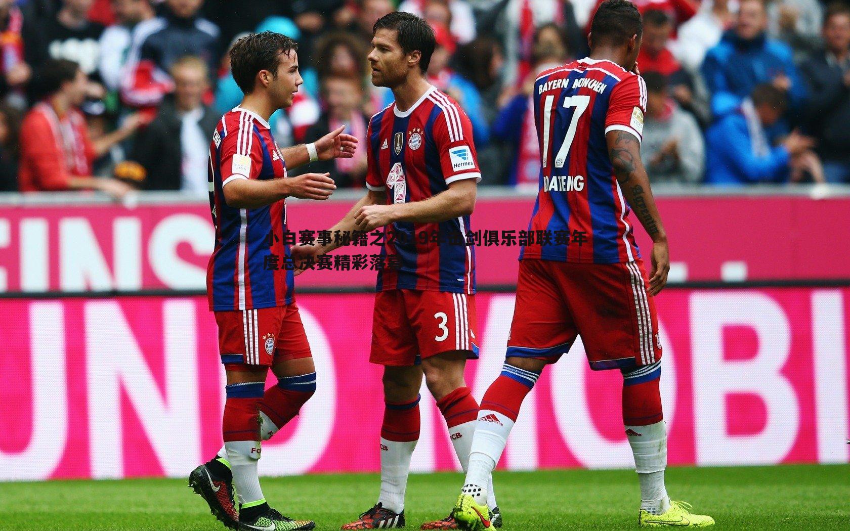 小白赛事秘籍之2019年击剑俱乐部联赛年度总决赛精彩落幕